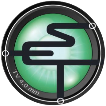 Electronic Security Technologies